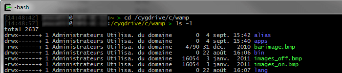 Utiliser Cygwin comme terminal sur Windows - Informatique générale