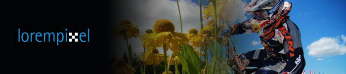 Générer des images avec LoremPixel