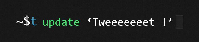 Utiliser Twitter en ligne de commande