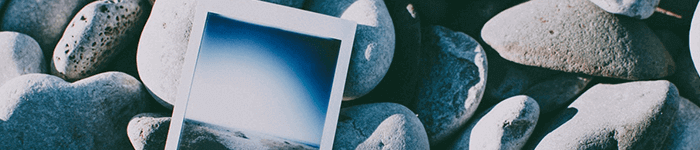 Transformez votre compte Instagram en site Internet avec Zine - Informatique générale