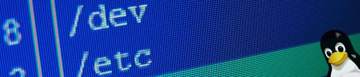 Ajouter la date d'exécution des commandes à l'historique Bash