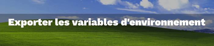Comment exporter les variables d'environnements Windows dans un fichier texte ?