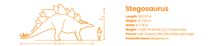 Dimensions.guide, tout savoir sur les dimensions des objets du quotidien - Divers Dimensions.guide, tout savoir sur les dimensions des objets du quotidien