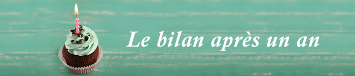 Le blog a un an, je fais le bilan - Divers Le blog a un an, je fais le bilan