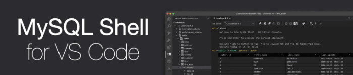 Exécuter du SQL dans Visual Studio Code avec MySQL Shell for VS Code