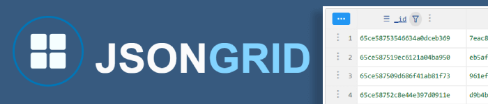 JSON Grid : l'outil parfait pour visualiser et manipuler vos données JSON